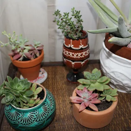 Dom wakacyjny Crame House