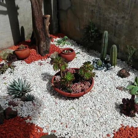 Dom wakacyjny Crame House *