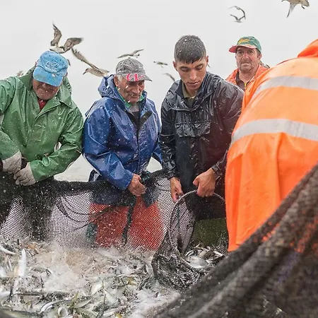 Crame House Dom wakacyjny